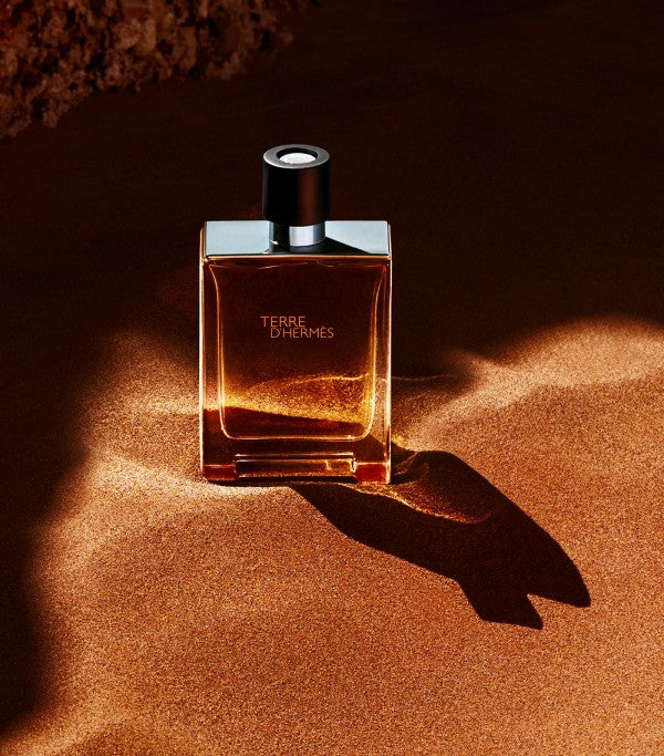 TERRE D HERMES Hermes Paris Terre D Hermes EDT 100ML
