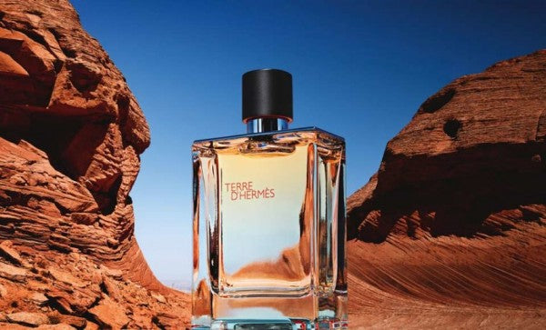 TERRE D HERMES Hermes Paris Terre D Hermes EDT 100ML