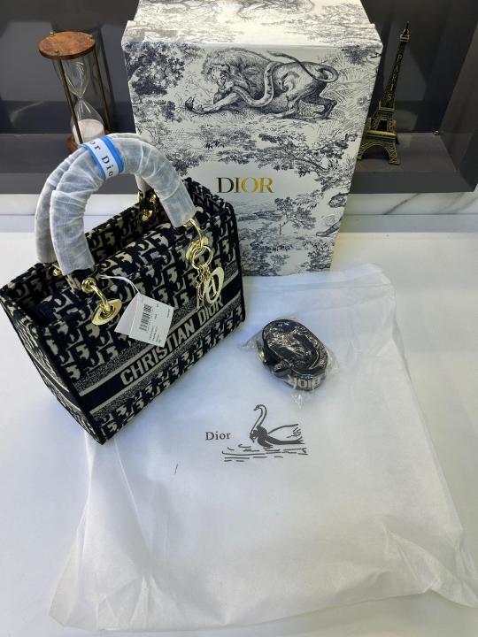 Dior Ladies Hand Bag With Og Box