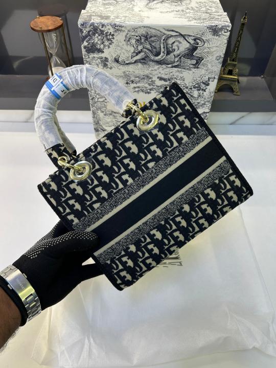 Dior Ladies Hand Bag With Og Box