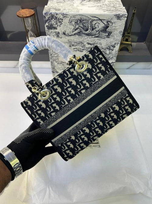 Dior Ladies Hand Bag With Og Box